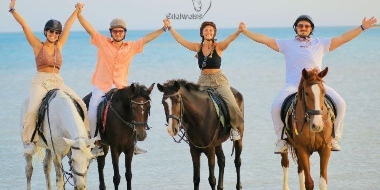 4-Hour Arabian Adventure Horse Ride & Camel Ride In Sharm El-Sheikh