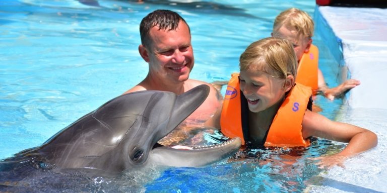 2-Hour Dolphin Show & Swimming In Sharm El-Sheikh
