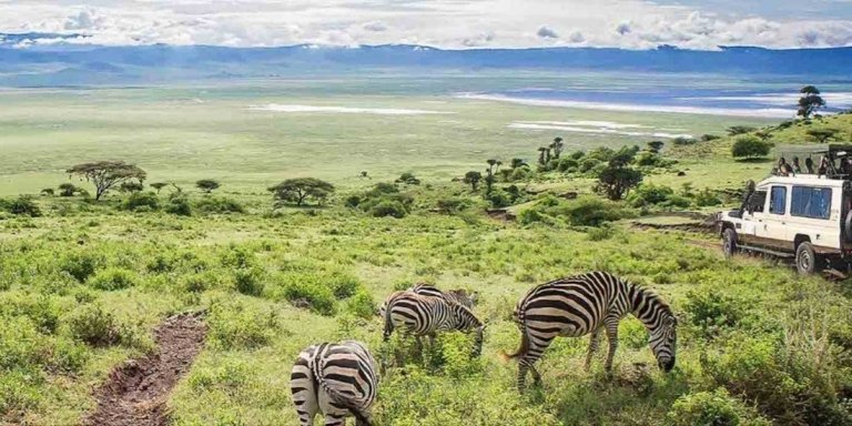 3 Days Lake Manyara & Ngorongoro Luxury Wildlife Adventure.