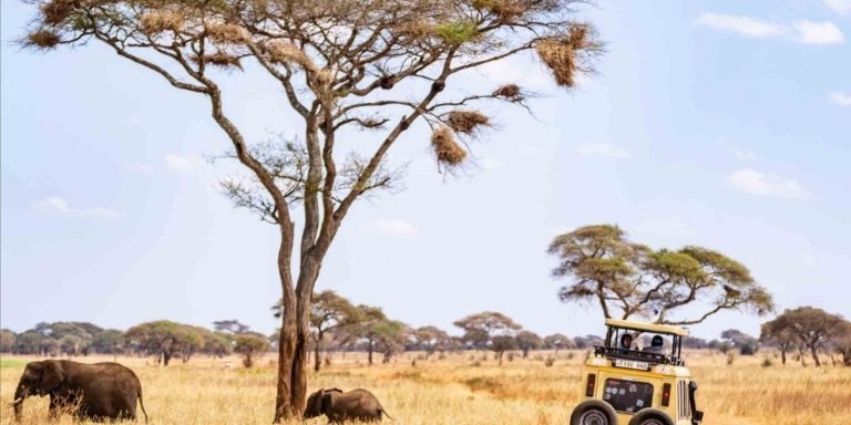 3 Days Tanzania Classic Safari Adventure.