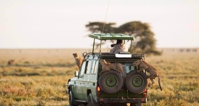 Maasai Mara & Galu Beach Tour