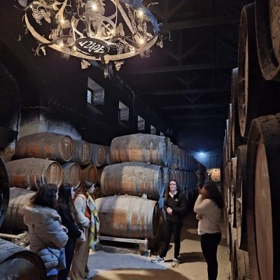 Arrábida, Azeitão and Wine Tasting Jeep Tour