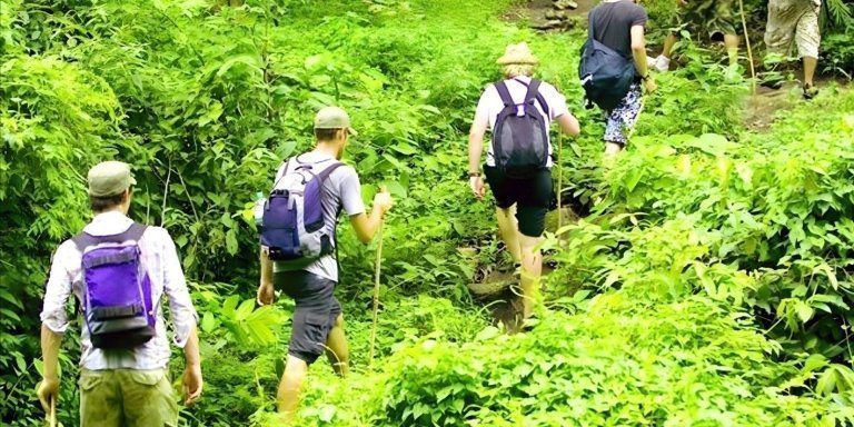 Bali Jungle Trekking and Tanah Lot Sunset Tour Packages