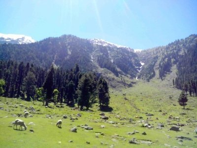 Kashmir Tour 4 Nights 5 Days