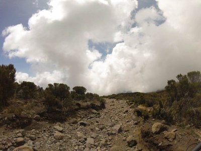 7 Days Rongai Route Kilimanjaro Climb