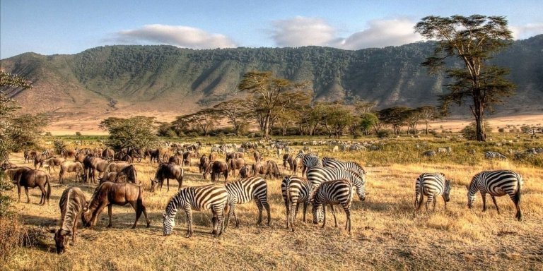 4 Days Serengeti & Ngorongoro Luxury Safari Encounter.