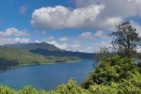 Bali Dolphin Sunrise Watching Tour