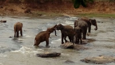 Hill Stations, Beach and Wildlife