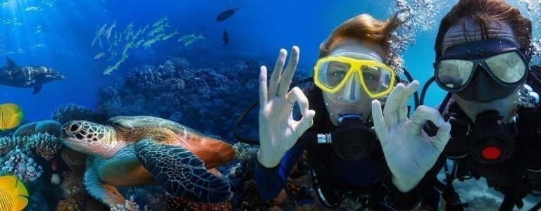 Diving Tour for Beginners - try dive in Tenerife