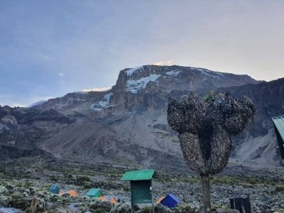 6 days Kilimanjaro Climbing Lemosho route.