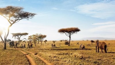 2 Days Tanzania Couple Safari