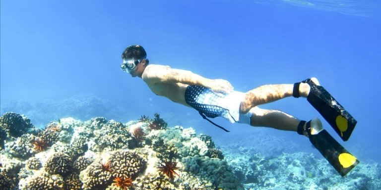 Blue Lagoon Snorkeling and Ubud Full Day Tour Packages