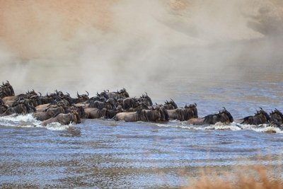 9 days Serengeti wildebeest Migration safari in Tanzania