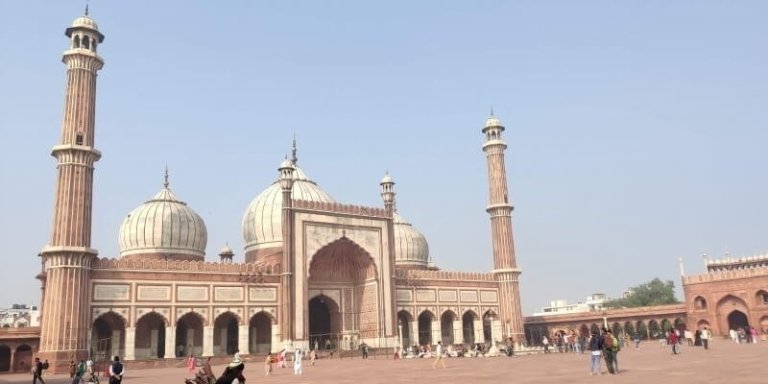 Unexplored Old Delhi - Historical Sights Tour