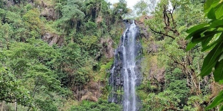 Materuni waterfalls and coffee tour