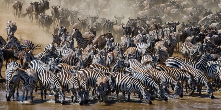 3 DAYS 2 NIGHTS MAASAI MARA GROUP JOINING SAFARI