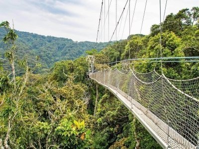 Exclusive Rwanda Safari