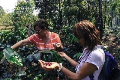 A Private Day Tour from Mysore to Coorg