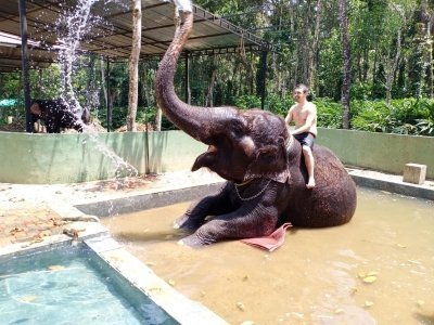 A Private Day Wild Safari Tour from Karnataka to Tamilnadu