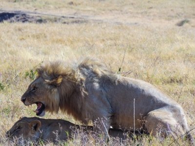 6 Days Tanzania Cultural & Camping Safari