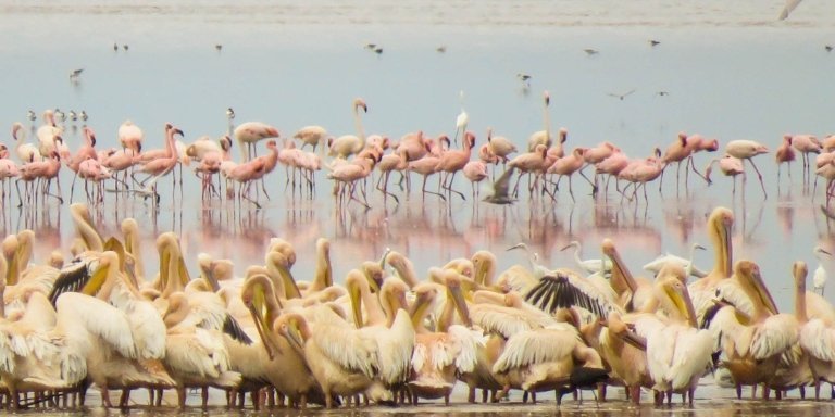 6 Days Tanzania Cultural & Camping Safari