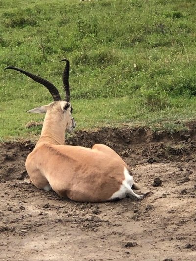 7 Days Northern Camping Safari