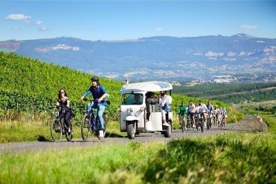 Geneva Panoramic & Tasting Vineyards Tour in an electric Tuk Tuk