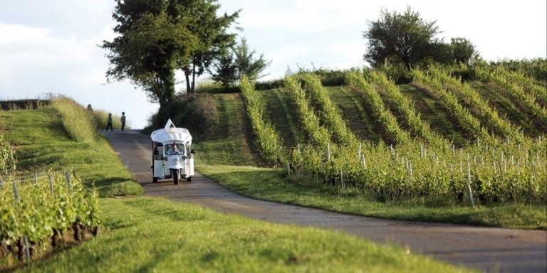 Geneva Panoramic & Tasting Vineyards Tour in an electric Tuk Tuk