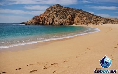 Cabo San Lucas 2-hr Private Snorkeling Tour