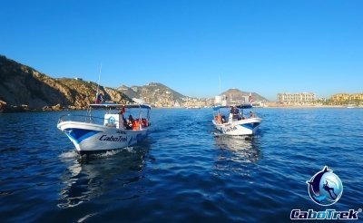 Cabo San Lucas 4-hr Private Snorkeling Tour