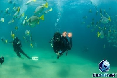 Scuba Diving Cabo San Lucas Marine Park