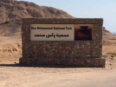 Exploring Ras Mohamed