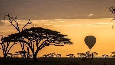 Best of Tanzania Safari - 6-Days Package