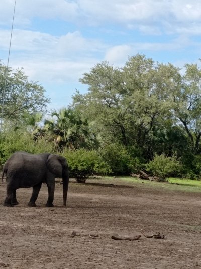 5-Day Explore Nyerere Nation park & Kilwa Kisiwani and Songomnara