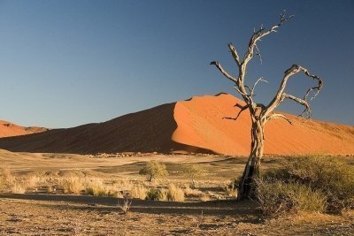 3 Days Sossusvlei Amazing Dunes | Private Guided Lodge