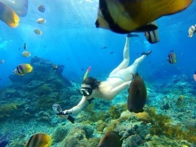 Bali Blue Lagoon Snorkeling