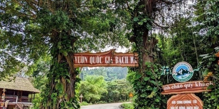 Bach Ma National Park Trekking Tour From Hue/Da Nang/Hoi An