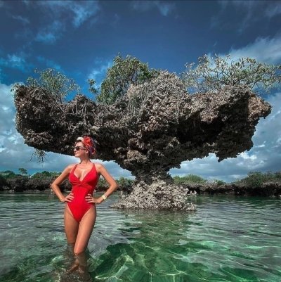 Safari tour Zanzibar.