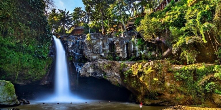 Ubud and Waterfall Tours