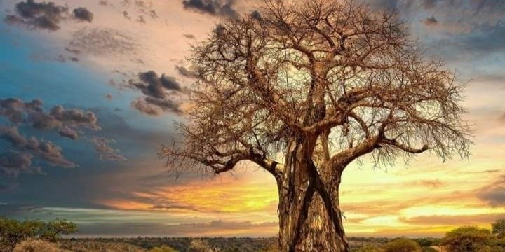 6 Days Wildlife Safari in Tanzania