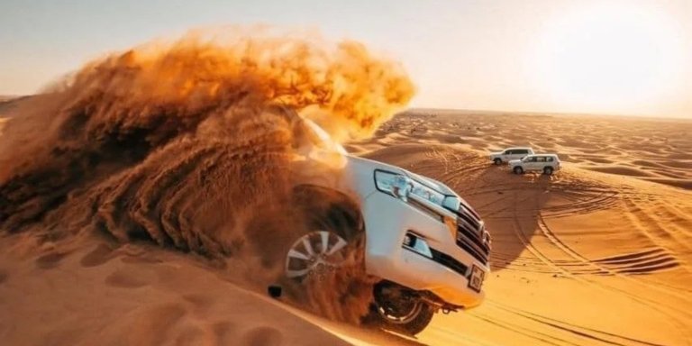 Premium Red Dunes Safari Dubai | BBQ Dinner and Camel
