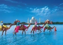 1 Day Private Tour Taj Mahal by car