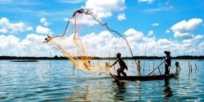 Fishing Tours & Charters