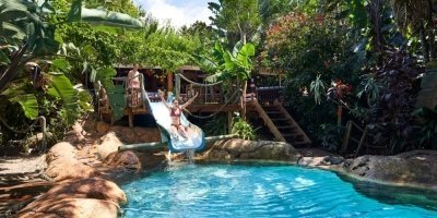 Waves & Wildlife Expedition: 7 Nights 8 Days of Surf and Safari Bliss