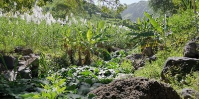 Serra Malagueta to Gongon Valley Hiking Adventure