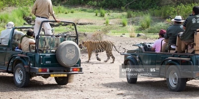 7 Day Golden Triangle Tour with Ranthamboure National Park by Car