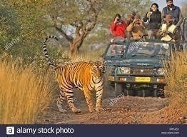 7 Day Golden Triangle Tour with Ranthamboure National Park by Car