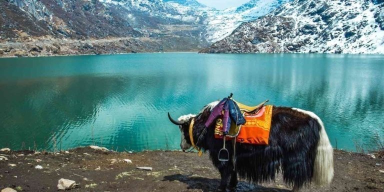 Amazing Sikkim Tour