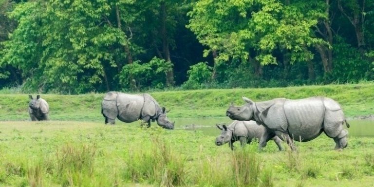 5 Days Kaziranga National Park With Taj Mahal