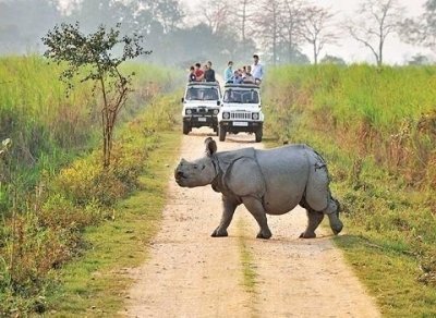 5 Days Kaziranga National Park With Taj Mahal